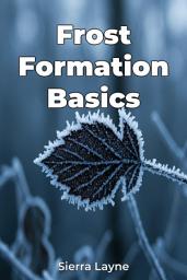 Icon image Frost Formation Basics