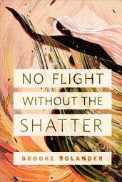 Icon image No Flight Without the Shatter: A Tor.com Original