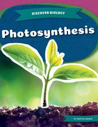 Icon image Photosynthesis