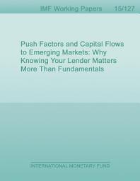 Icon image Push Factors and Capital Flows to Emerging Markets: Why Knowing Your Lender Matters More Than Fundamentals