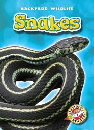 Icon image Snakes