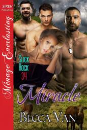 Icon image Miracle (Slick Rock 34)