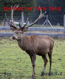 Icon image Die Welt der Tiere Teil 2