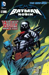 Icon image Batman and Robin (2011)