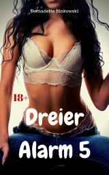 Icon image Dreier Alarm 5: 15 versaute Dreier Storys