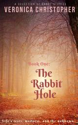 Icon image The Rabbit Hole: Volume 1