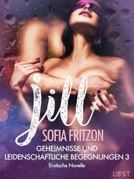 Icon image Jill – Geheimnisse und leidenschaftliche Begegnungen 3 - Erotische Novelle