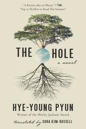 Icon image The Hole: A Novel