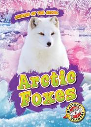 Icon image Arctic Foxes