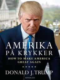 Icon image Amerika på krykker