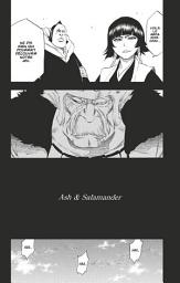Icon image Bleach - T39 - Chapitre 333: Ash & Salamander