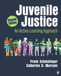 Icon image Juvenile Justice: An Active-Learning Approach, Edition 2