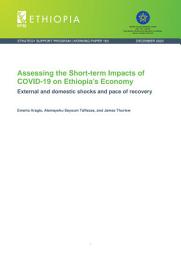 Icon image Assessing the short-term impacts of COVID-19 on Ethiopia’s economy: External and domestic shocks and pace of recovery