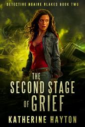 Icon image The Second Stage of Grief