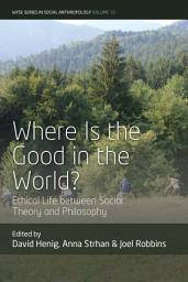 Icon image Where is the Good in the World?: Ethical Life between Social Theory and Philosophy