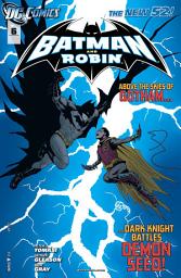 Icon image Batman and Robin (2011)
