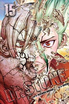 Icon image