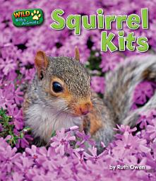 Icon image Squirrel Kits
