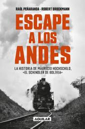 Icon image Escape a los Andes