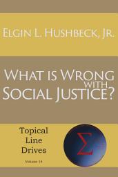 Icon image What Is Wrong with Social Justice