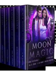 Icon image Moon Magic: Five Book Starter Library for lovers of Urban Fantasy and Paranormal Romance featuring werewolves, coyote shifters, and beasts of all kinds...