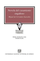 Icon image Novela del casamiento engañoso