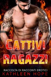 Icon image Cattivi ragazzi: Raccolta di racconti erotici