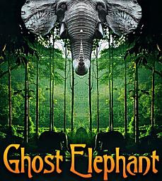 Icon image Ghost Elephant: Fantasy Adventure Series with Animals and the Magic of Nature