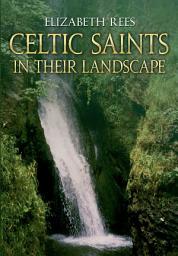 Icon image Celtic Saints In Their Landscape
