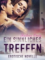 Icon image Ein sinnliches Treffen - Erotische Novelle