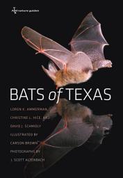 Icon image Bats of Texas