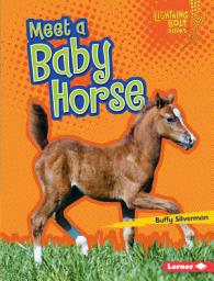 Icon image Meet a Baby Horse