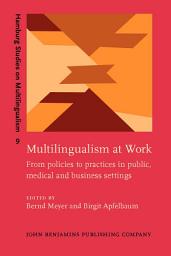 Icon image Multilingualism at Work: From policies to practices in public, medical and business settings