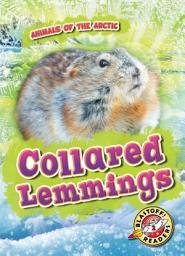 Icon image Collared Lemmings