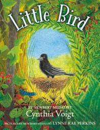 Icon image Little Bird