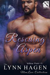 Icon image Rescuing Aspen (Willow Point 11)