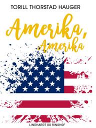 Icon image Amerika, Amerika: Bind 1