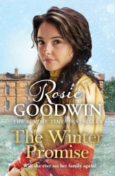 Icon image The Winter Promise: A perfect cosy Victorian saga from the Sunday Times bestselling author