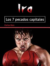 Icon image Ira: Os 7 pecados capitais (Portuguese Edition)