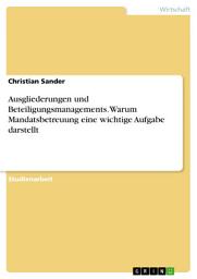 Icon image Ausgliederungen und Beteiligungsmanagements. Warum Mandatsbetreuung eine wichtige Aufgabe darstellt