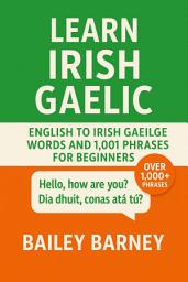 Icon image Learn Irish Gaelic: English to Irish Gaeilge Words and 1,001 Phrases for Beginners