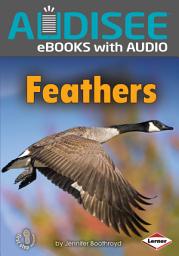 Icon image Feathers