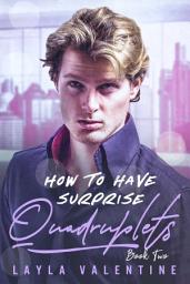 Icon image How To Have Surprise Quadruplets (Book Two)