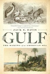 Icon image The Gulf: The Making of An American Sea