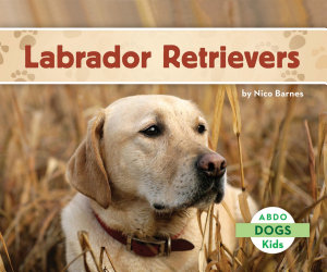 Icon image Labrador Retrievers