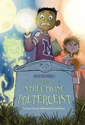 Icon image Streetwise Poltergeist: Book 13