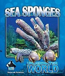 Icon image Sea Sponges