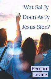 Icon image Wat Sal Jy Doen As Jy Jesus Sien?