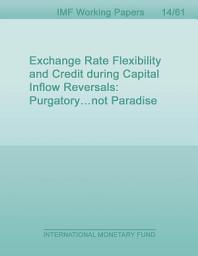 Icon image Exchange Rate Flexibility and Credit during Capital Inflow Reversals: Purgatory...not Paradise