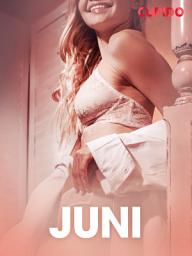 Icon image Juni – erotiske noveller